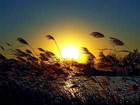 《三国演义》读后感：忠诚与背叛的较量