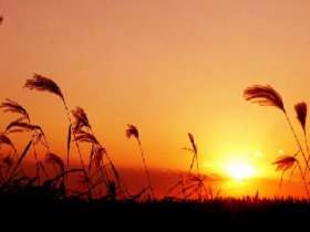 黛玉焚稿断痴情