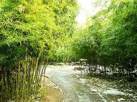 西游记读后感1000字