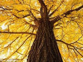 在失败中淬炼不朽——读《老人与海》有感