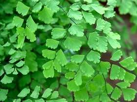 红孩儿为何无牛相，牛魔王不是他的亲爹？