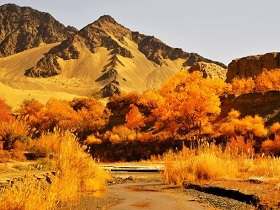 在失败中淬炼不朽——读《老人与海》有感